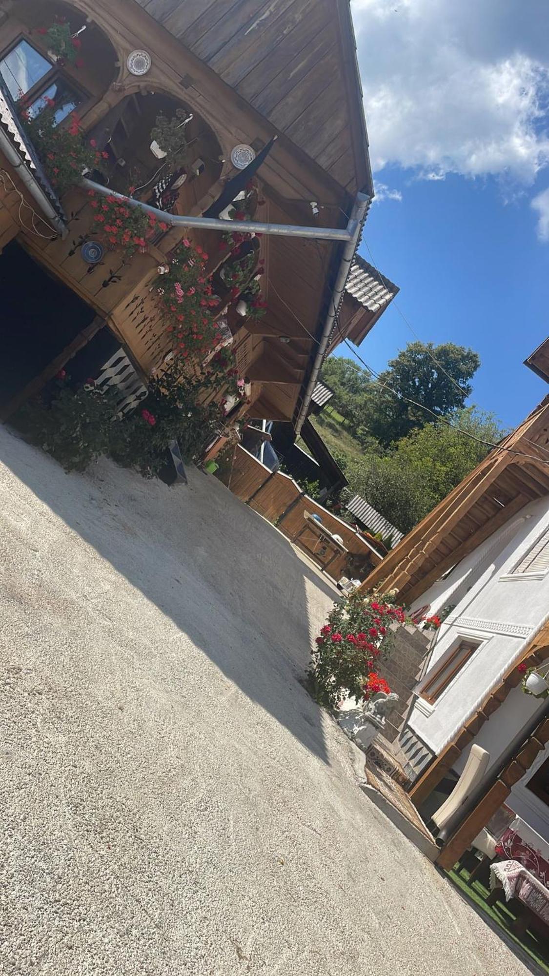 Casa Ionela Petreus Hotel Poienile Izei Eksteriør billede